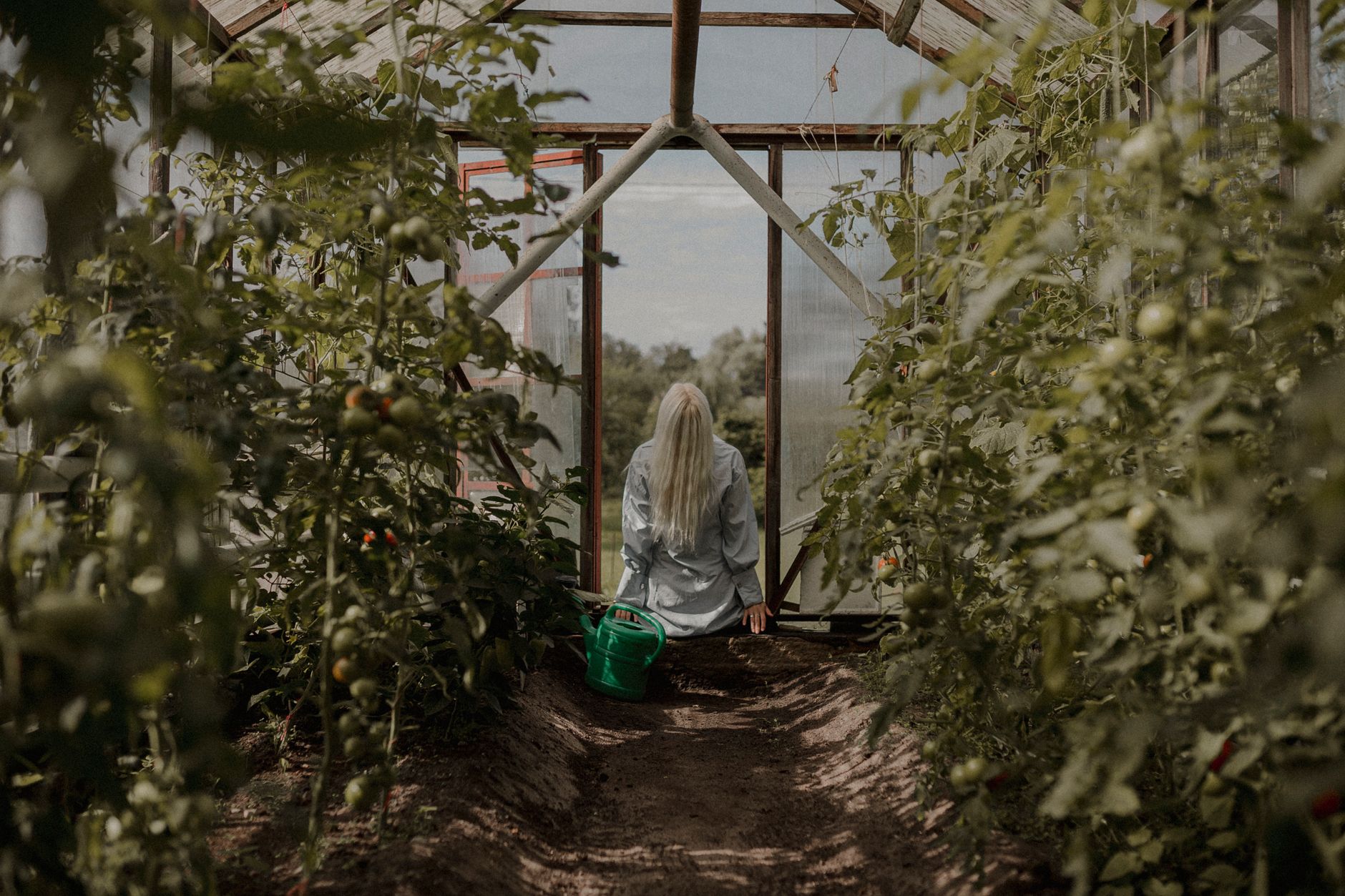 Fotos de stock gratuitas de agricultura, agronomía, al aire libre