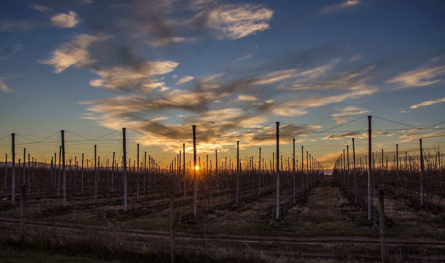 Hermoso atardecer sobre una granja rural con árboles en silueta y un cielo vibrante.