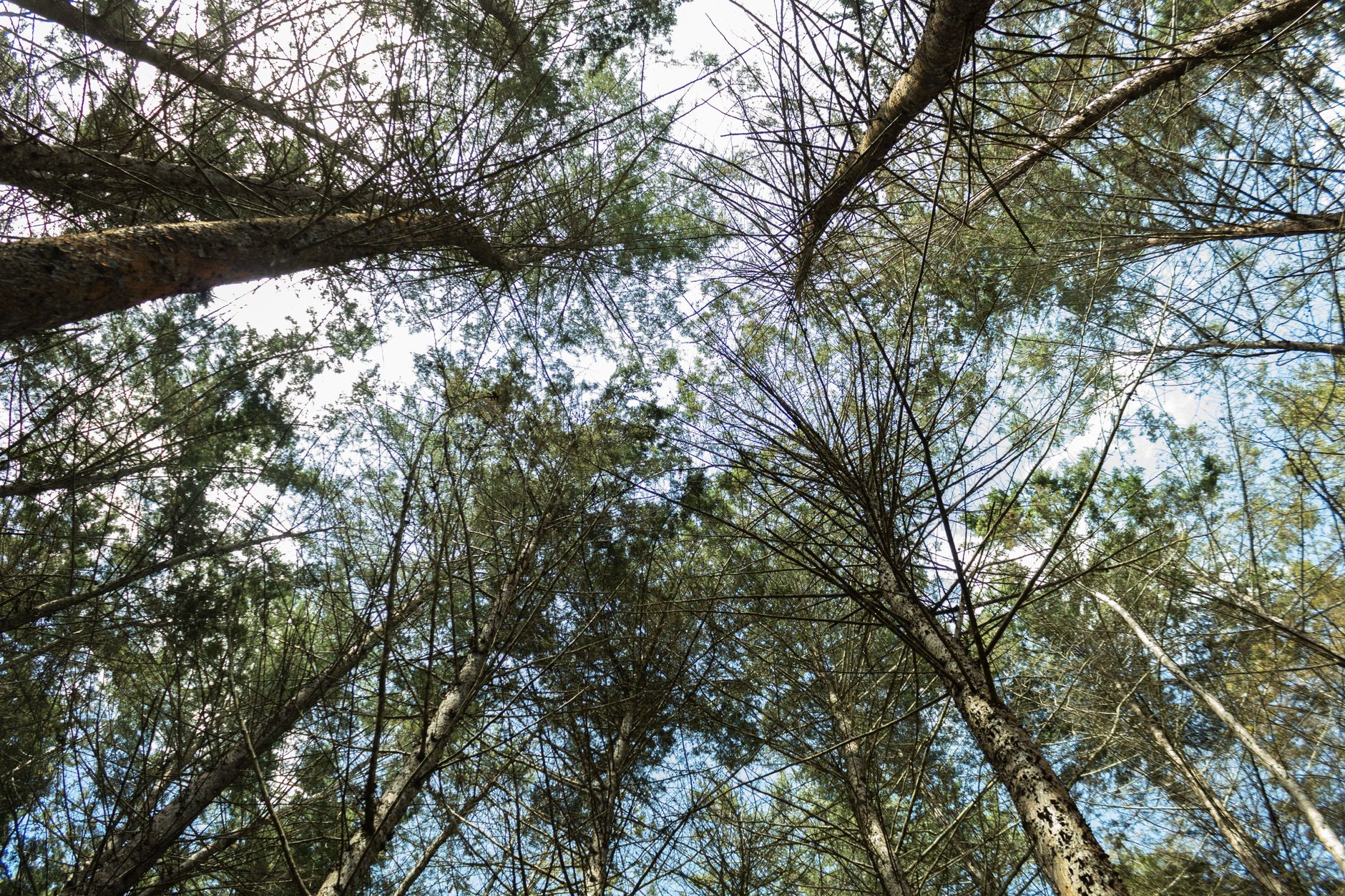Fotos de stock gratuitas de @al aire libre, al aire libre, altura