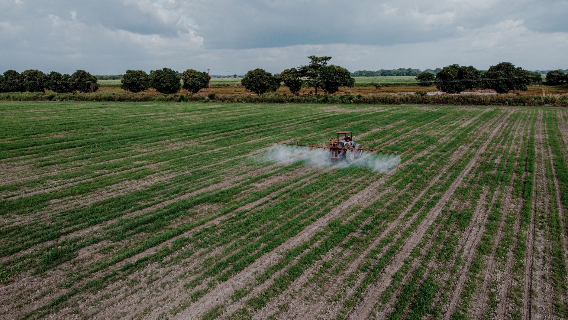 Toma aérea de un tractor rocíando un campo verde exuberante con pesticidas bajo un cielo nublado.