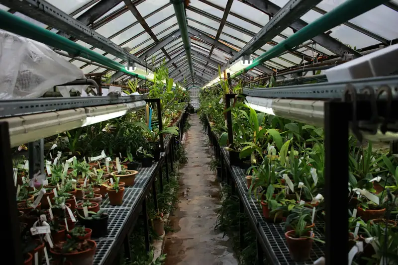 horticulture